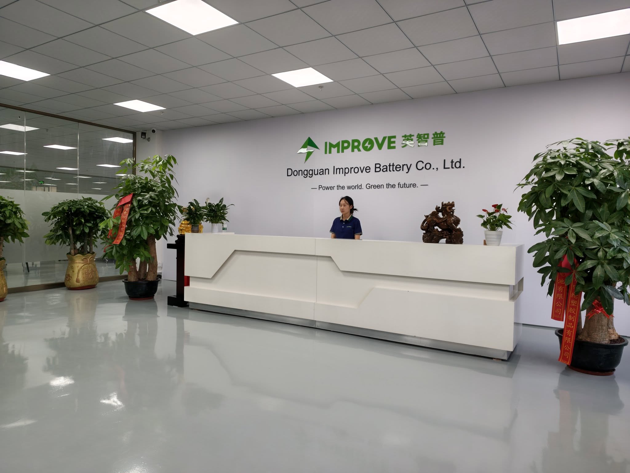 IMPROVE BATTERY factory